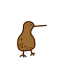 鳥のキウイ（個別スタンプ：3）