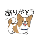 犬語ずかん【パピヨン番外編】（個別スタンプ：3）