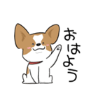 犬語ずかん【パピヨン番外編】（個別スタンプ：9）