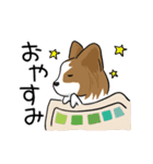 犬語ずかん【パピヨン番外編】（個別スタンプ：10）
