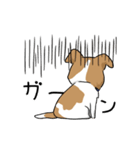犬語ずかん【パピヨン番外編】（個別スタンプ：18）
