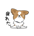 犬語ずかん【パピヨン番外編】（個別スタンプ：19）