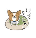 犬語ずかん【パピヨン番外編】（個別スタンプ：26）