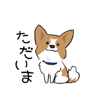 犬語ずかん【パピヨン番外編】（個別スタンプ：27）