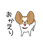 犬語ずかん【パピヨン番外編】（個別スタンプ：28）