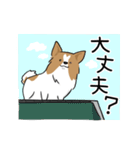 犬語ずかん【パピヨン番外編】（個別スタンプ：32）