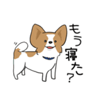 犬語ずかん【パピヨン番外編】（個別スタンプ：34）