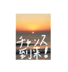オヤジサーファー（個別スタンプ：13）