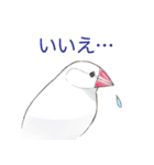 日常使い文鳥（個別スタンプ：2）