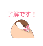 日常使い文鳥（個別スタンプ：6）