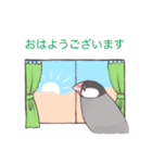 日常使い文鳥（個別スタンプ：13）