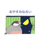 日常使い文鳥（個別スタンプ：14）