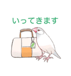 日常使い文鳥（個別スタンプ：21）