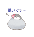 日常使い文鳥（個別スタンプ：27）