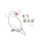 日常使い文鳥（個別スタンプ：29）