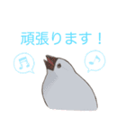 日常使い文鳥（個別スタンプ：32）