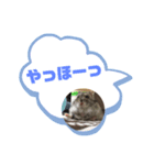 ハムスターのサモちゃん（個別スタンプ：4）