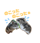 ハムスターのサモちゃん（個別スタンプ：8）