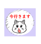 ハクのスクラッチ風スタンプ。（個別スタンプ：21）