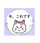 ハクのスクラッチ風スタンプ。（個別スタンプ：25）