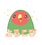 もちまる鳥 コザクラインコ編（個別スタンプ：4）