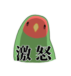 もちまる鳥 コザクラインコ編（個別スタンプ：5）