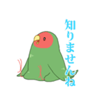 もちまる鳥 コザクラインコ編（個別スタンプ：9）