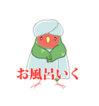 もちまる鳥 コザクラインコ編（個別スタンプ：12）