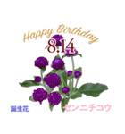 8月誕生日の友達に誕生花でHappy Birthday（個別スタンプ：14）
