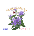 8月誕生日の友達に誕生花でHappy Birthday（個別スタンプ：17）