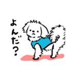 愛犬 おからちゃん（個別スタンプ：4）