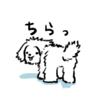 愛犬 おからちゃん（個別スタンプ：10）