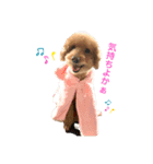 えいちゃん①（個別スタンプ：3）