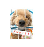 えいちゃん①（個別スタンプ：4）