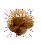 えいちゃん①（個別スタンプ：5）