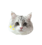 おやすみえるるん（個別スタンプ：6）