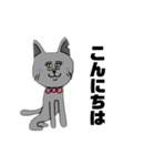 ねこです けど 。（個別スタンプ：4）