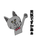 ねこです けど 。（個別スタンプ：9）