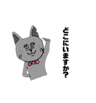 ねこです けど 。（個別スタンプ：30）
