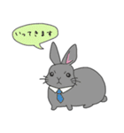 うさっち。（個別スタンプ：7）