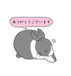 うさっち。（個別スタンプ：15）