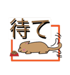 日常会話で使えるスタンプです（個別スタンプ：12）