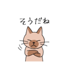 T-CATSスタンプ（個別スタンプ：1）
