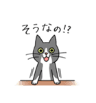 T-CATSスタンプ（個別スタンプ：2）
