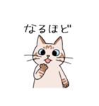 T-CATSスタンプ（個別スタンプ：3）