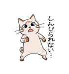 T-CATSスタンプ（個別スタンプ：5）