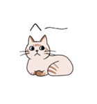 T-CATSスタンプ（個別スタンプ：9）