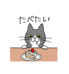 T-CATSスタンプ（個別スタンプ：10）