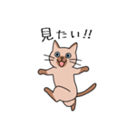 T-CATSスタンプ（個別スタンプ：11）
