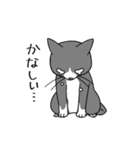 T-CATSスタンプ（個別スタンプ：12）